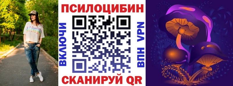 Галлюциногенные грибы Psilocybe  Дудинка 