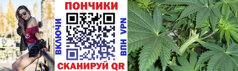Канабис гибрид  Дудинка 